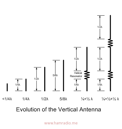 Evolution of Vertical Antenna