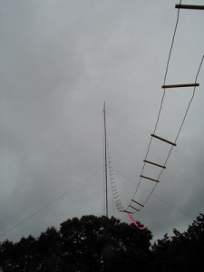 Ladder Line