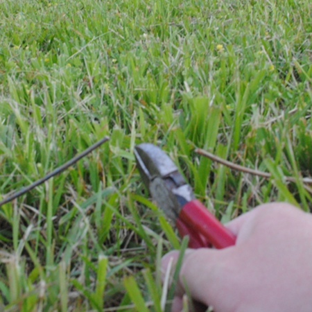 Cut the wire thus detuning the ground wire underneat the 40m full wave loop.