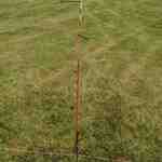 Center stake of mastless 40m dipole