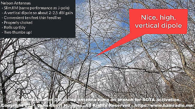 Nelson Antennas 2m rollup antenna hung on branch for SOTA activation.